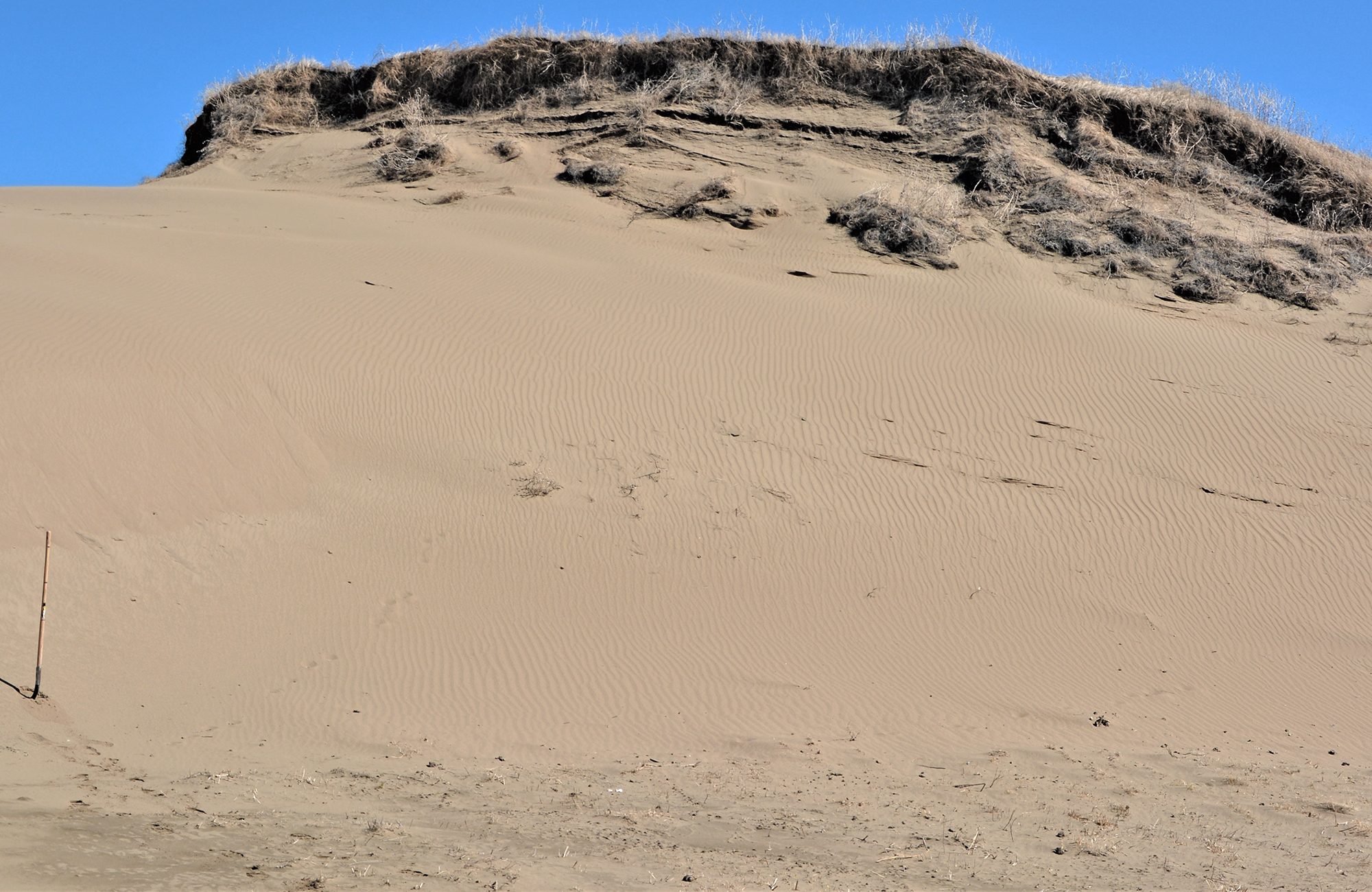 A big hill of sand with blue sky in the background.