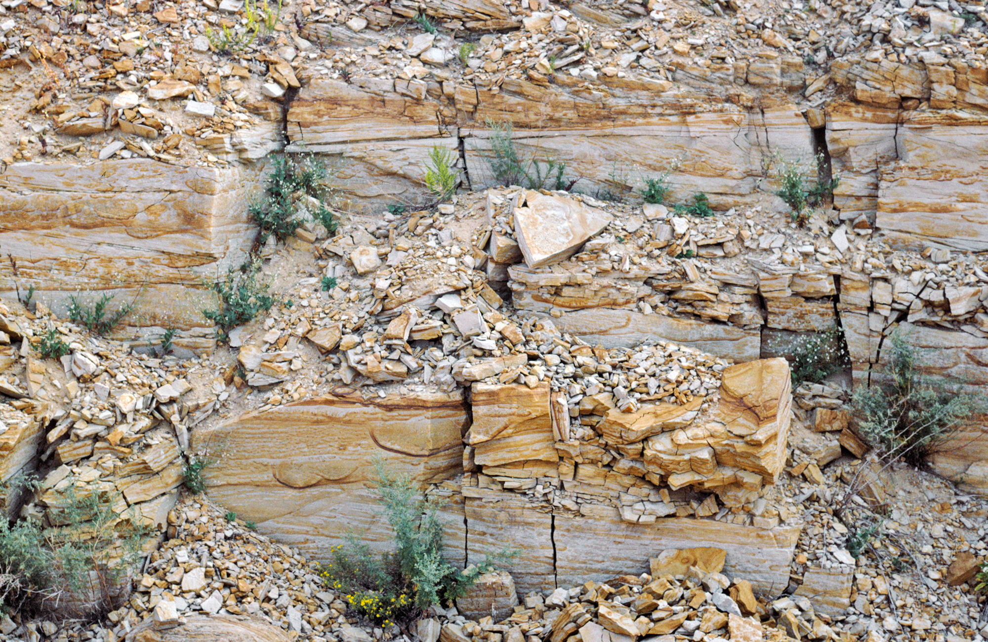 Layers of rocks with reddish-brown streaks.