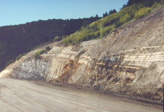 View of the roadcut through the promising fossil site in the Pembina Gorge