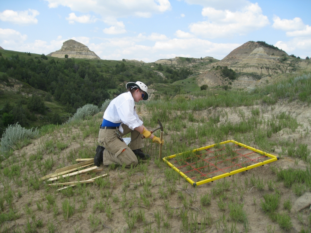grid stakes for mapping fossils