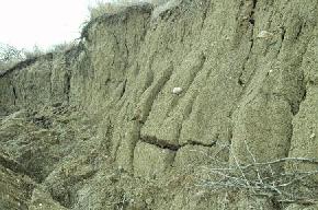 Till, glacially derived sediment consisting of a mixture of sand, silt, clay, and cobbles or boulders