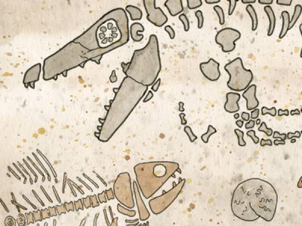 Image of mosasaur and fish skeletons.