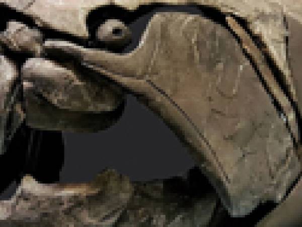 Closeup of a Dunkleosteus skull