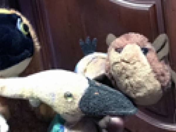 Stuffed animals of a dinosaur, pterosaur, and bat