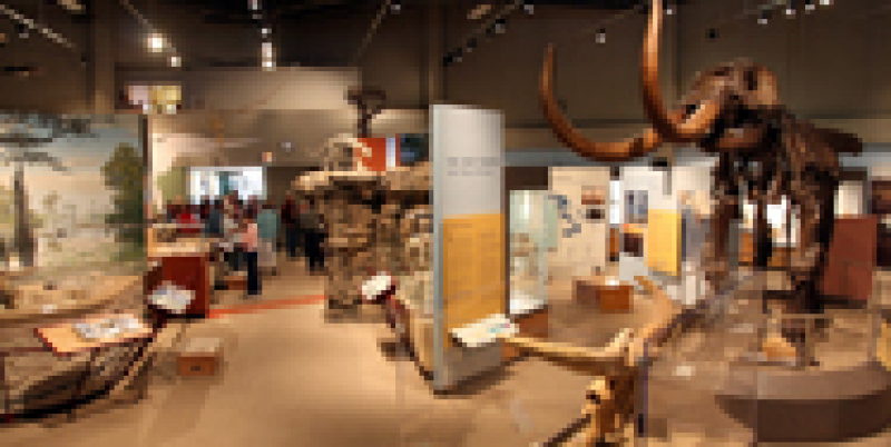 The old Corridor of Time at the Heritage Center