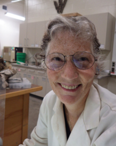 Amy working in the lab