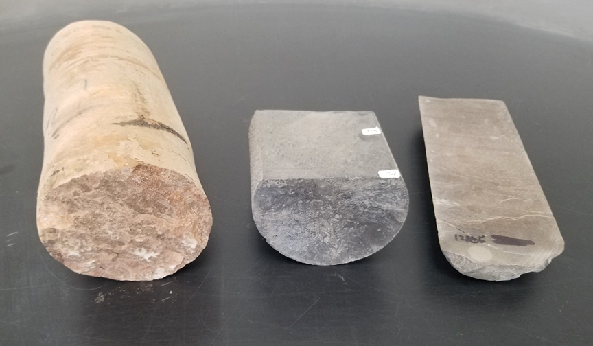 photo of 3 core samples on a table