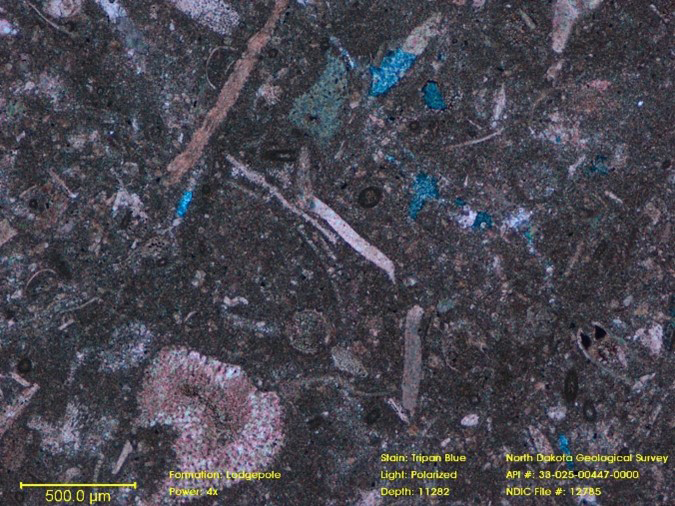 photomicrograph of a thin section