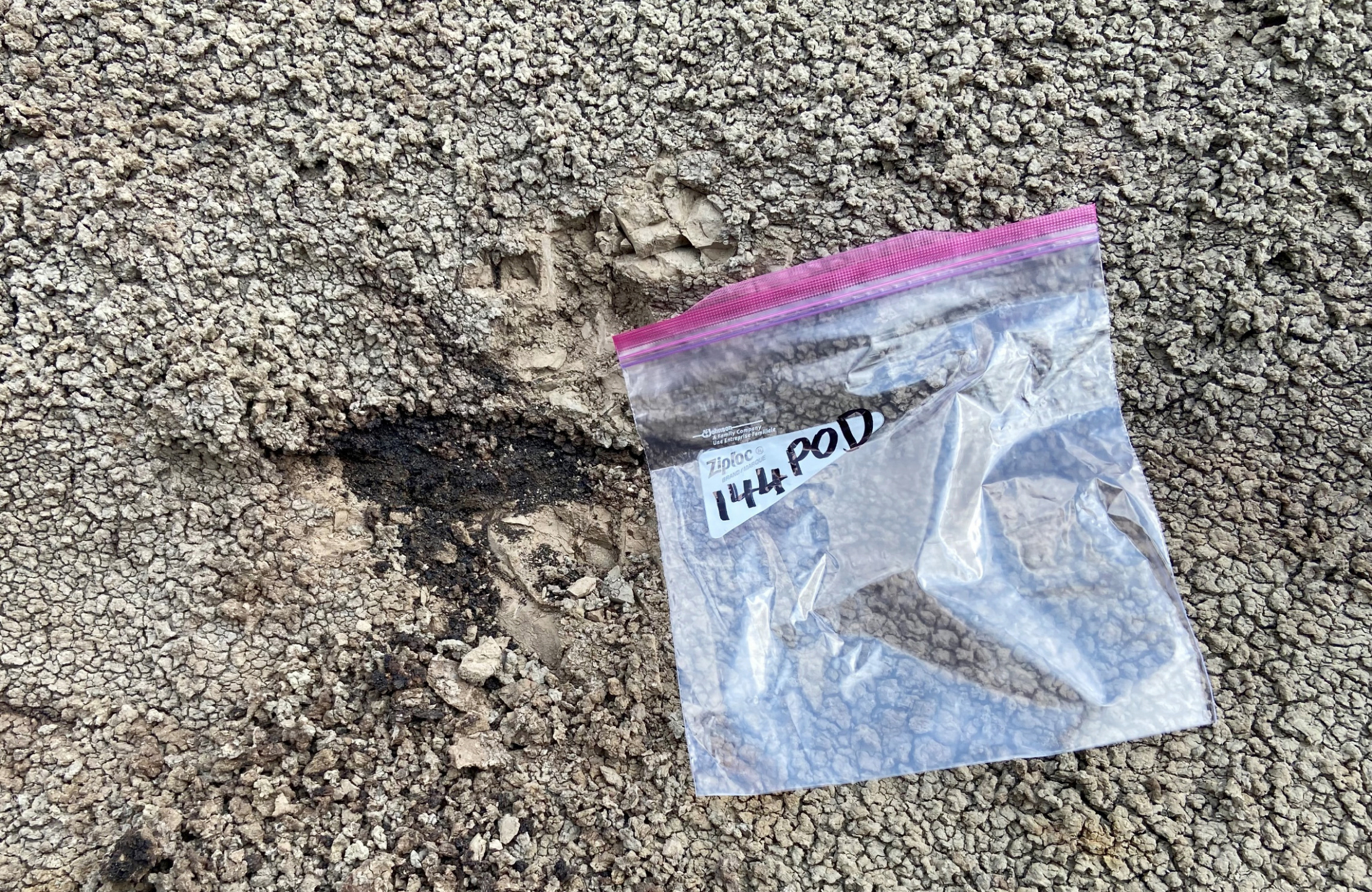 A labeled clear, plastic bag laying in the dirt near the sample area..