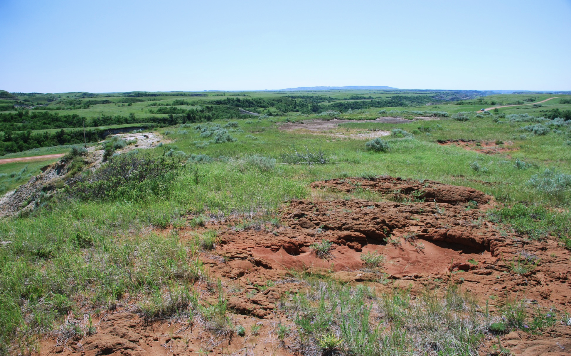 Green grass prairie with disturbed ground.