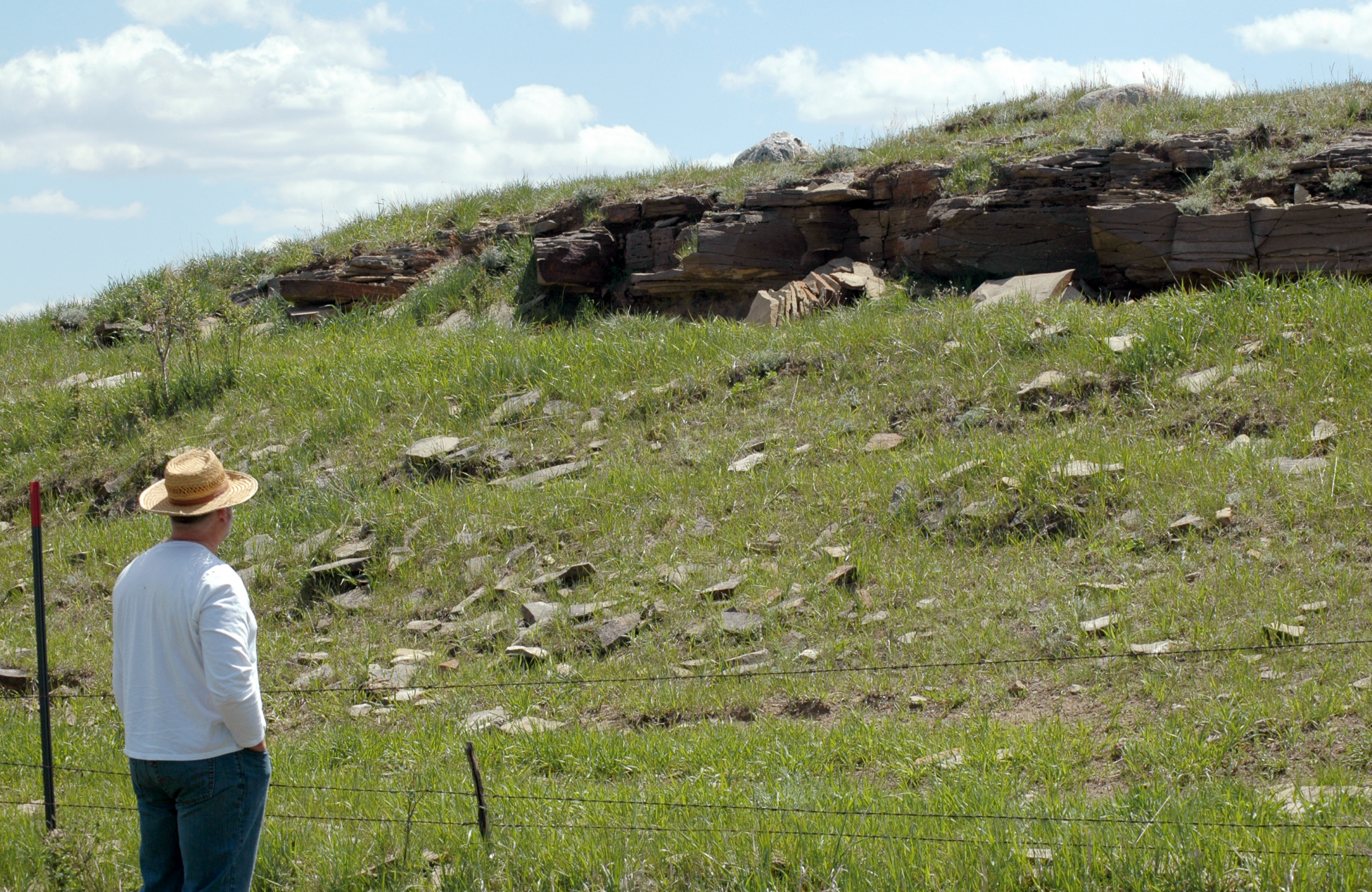 A photo of a man looking and a grass hill littered with rocks.