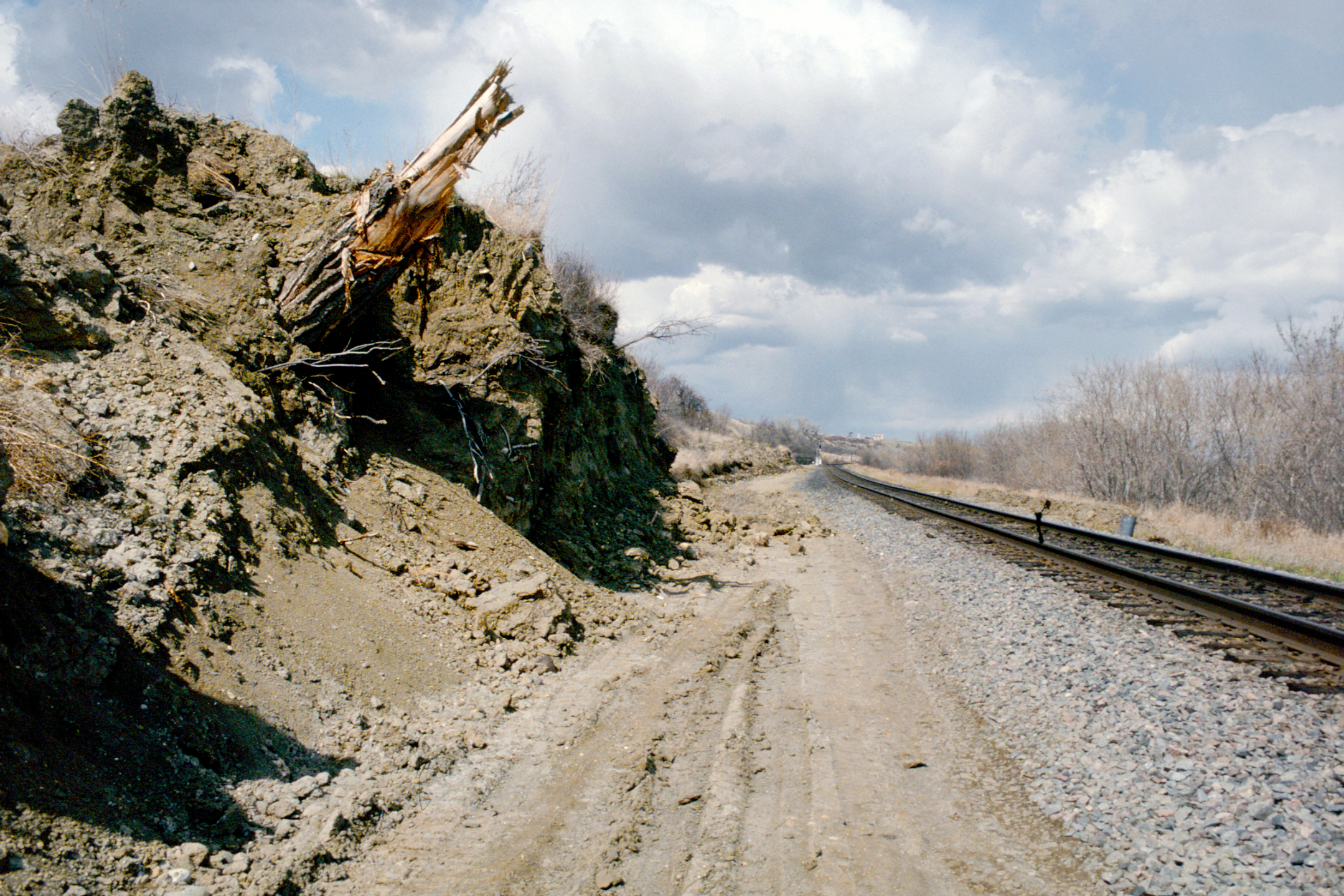 A photo of a dirt and tree stump landslide beside train tracks.