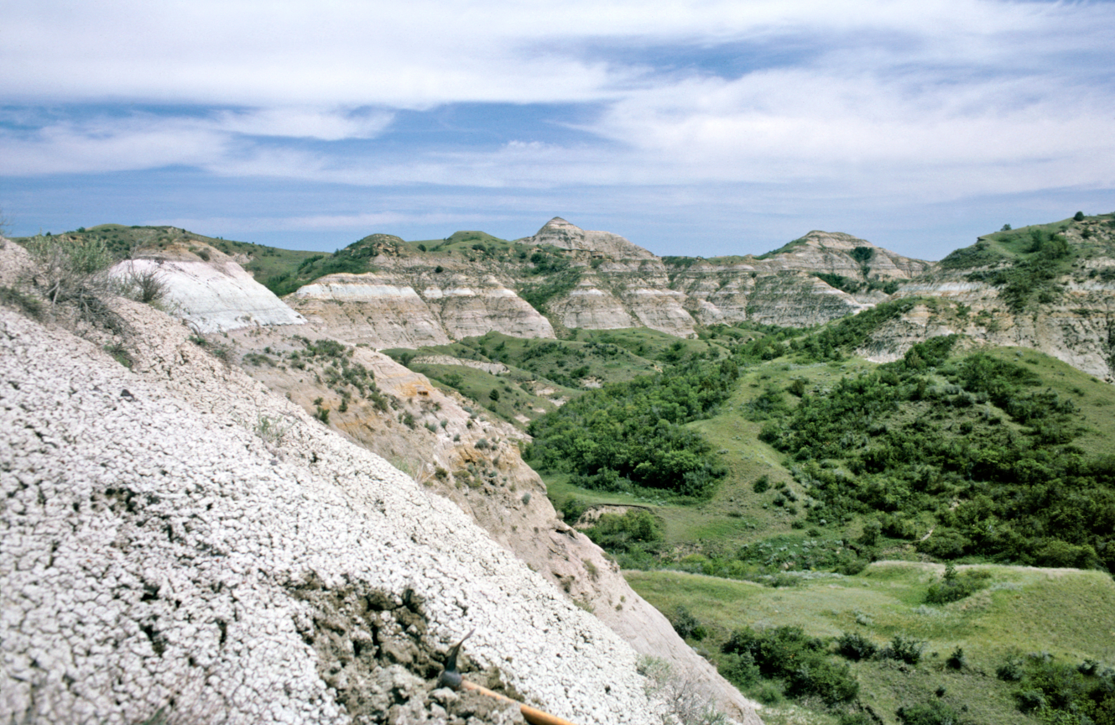 A close up of white, broken ground on the side of formation with grass, trees and blue cloudy sky in the background. 