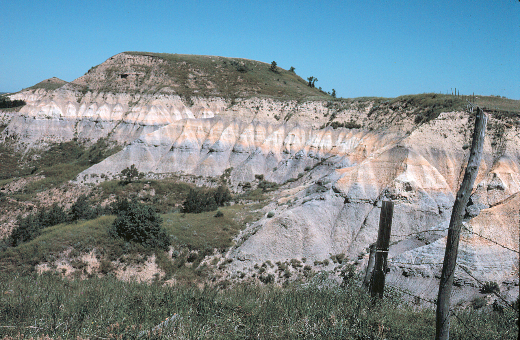Critical minerals are typically enriched in the lower part of the bright bed and the underlying coals of the Bear Den Member of the Golden Valley Fm, western ND.
