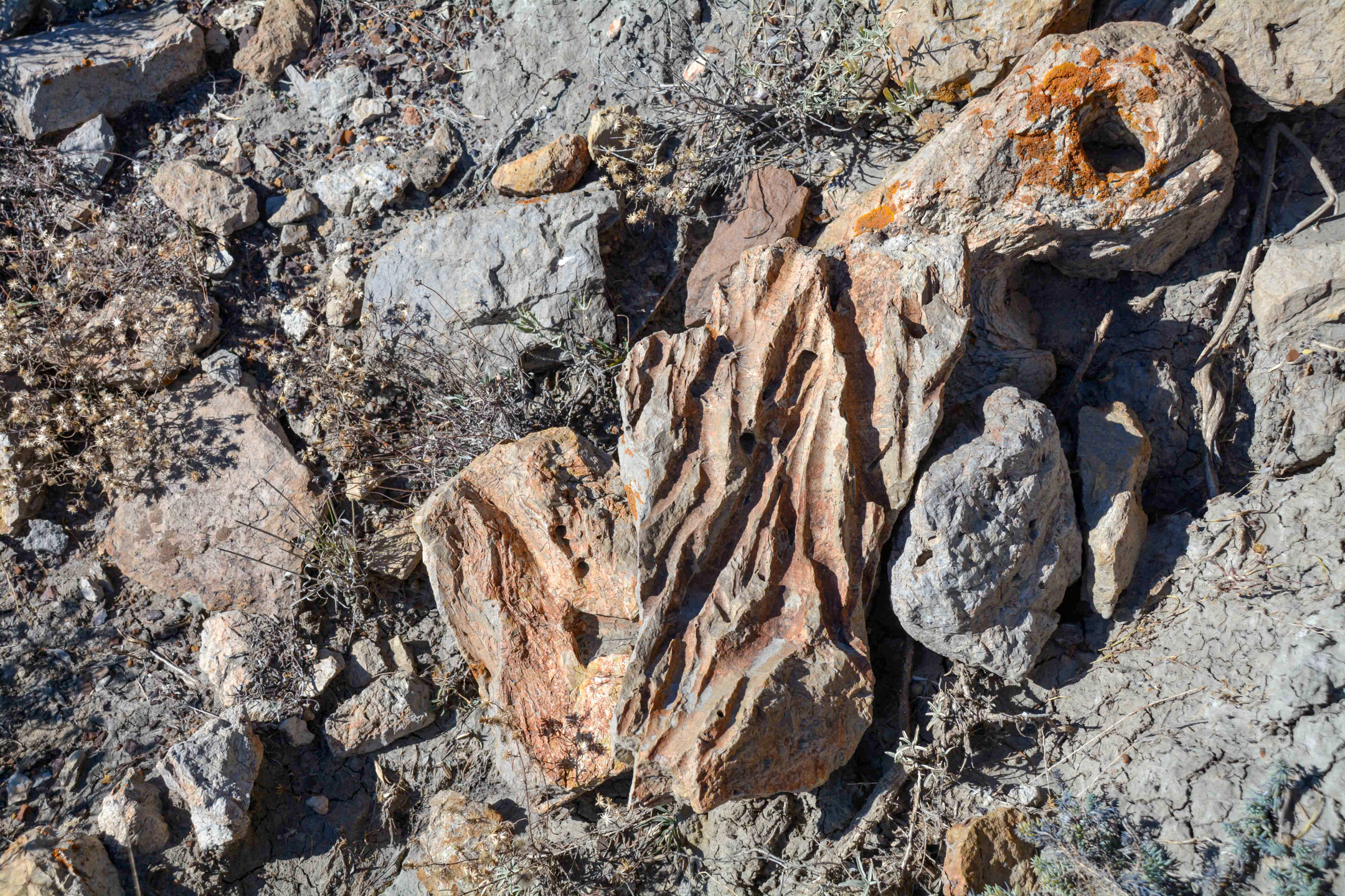 An irregular shaped orange and gray rock.