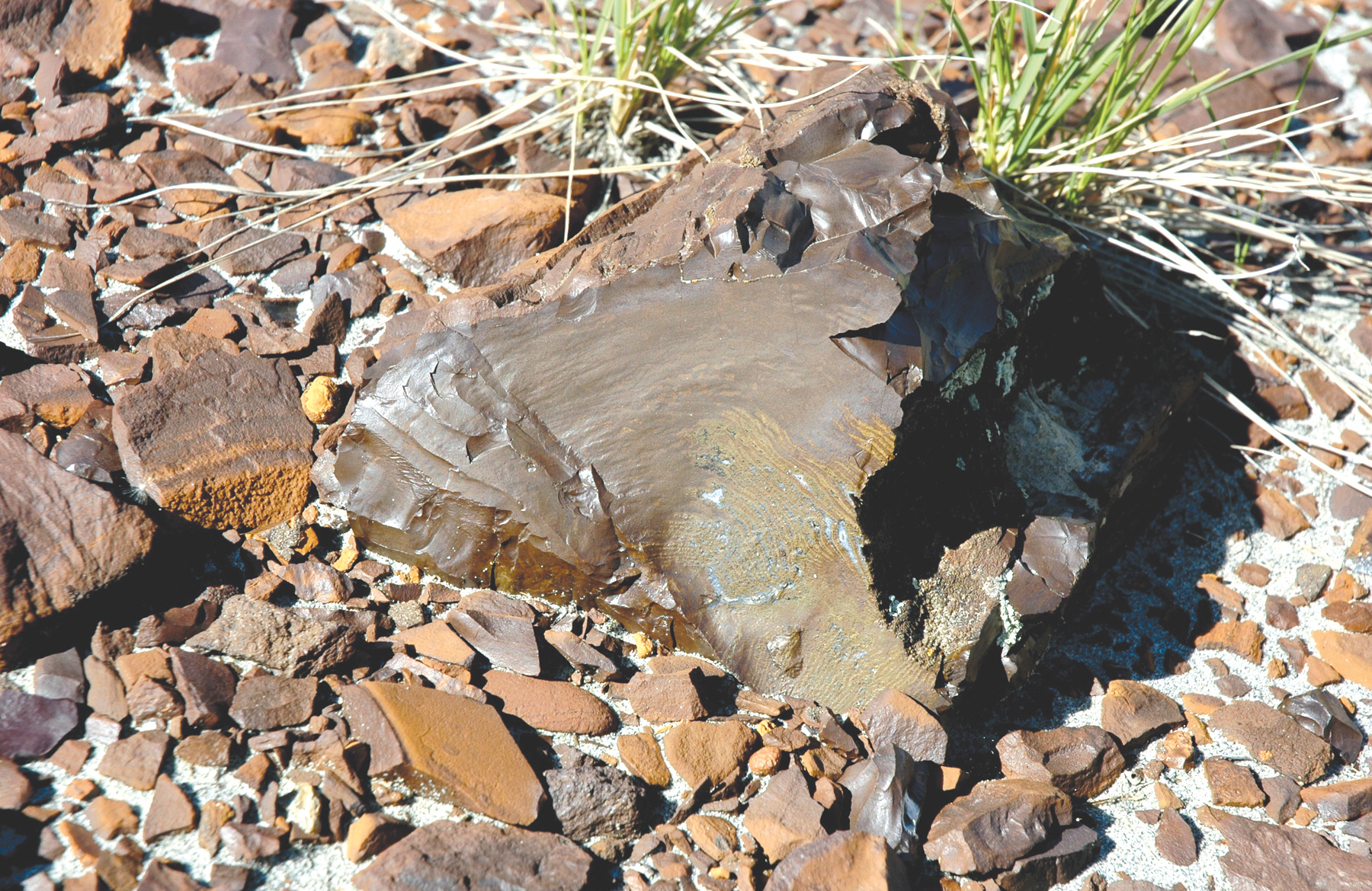 A big shiny brown rock on the ground centered among many smaller pieces of brown rock. A small tuft of grass is present beside the rock.