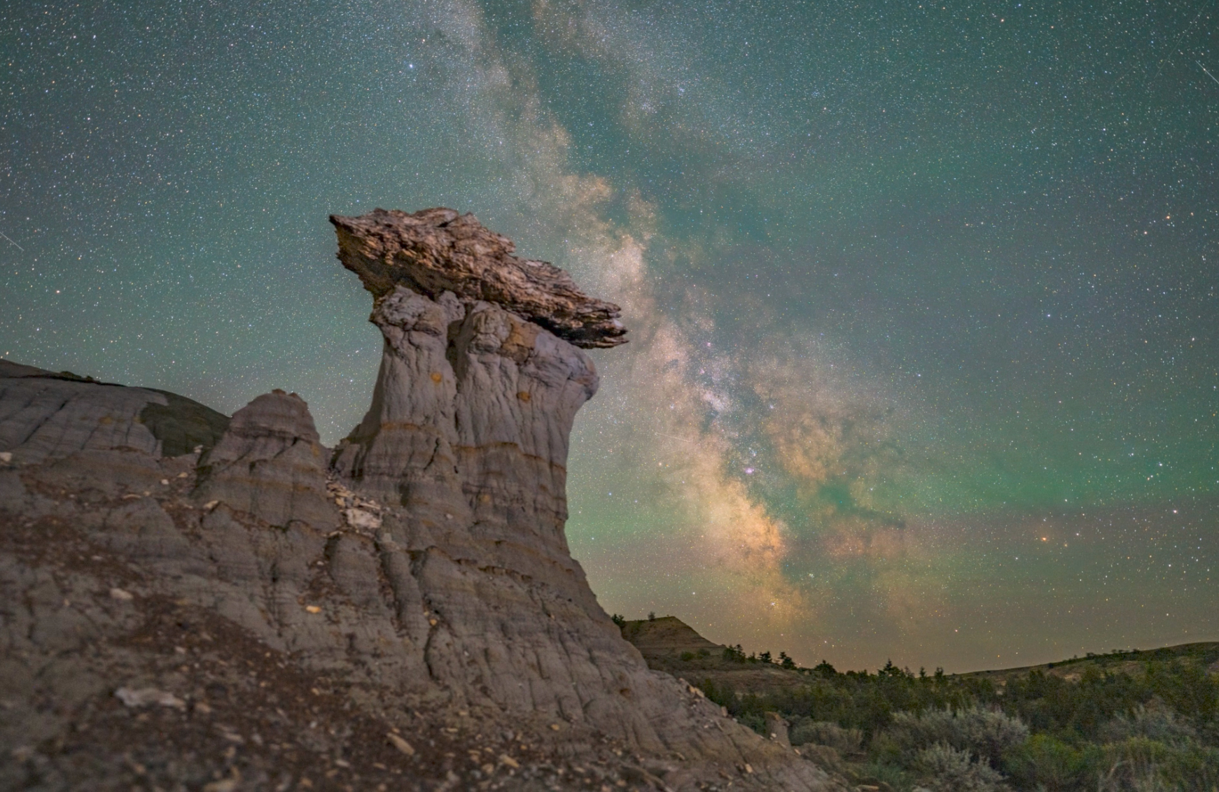 Petrified wood on top of a sandstone pedestal with a starry sky background.