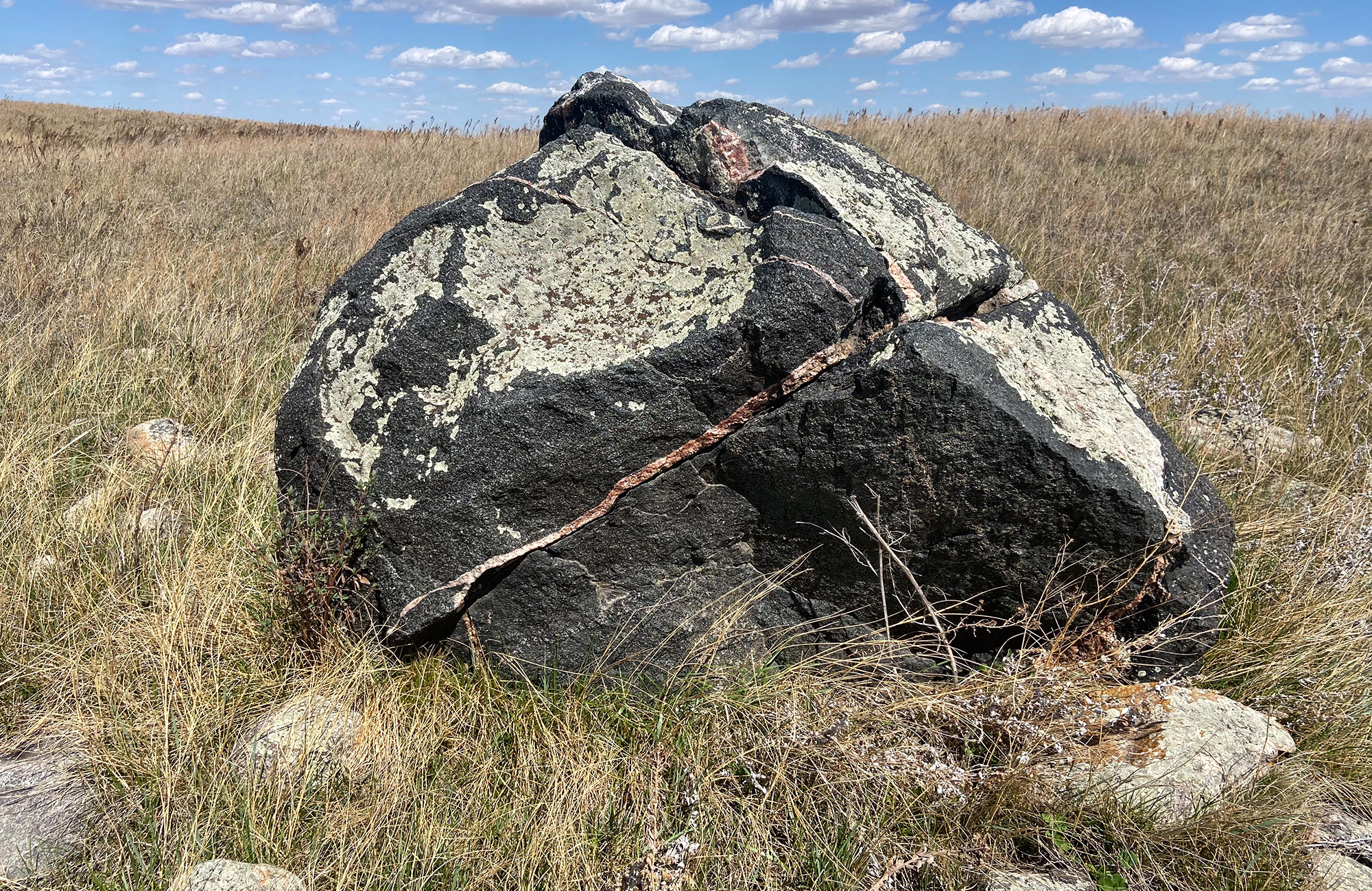 A large, black rock with a pink line through it laying in a field.