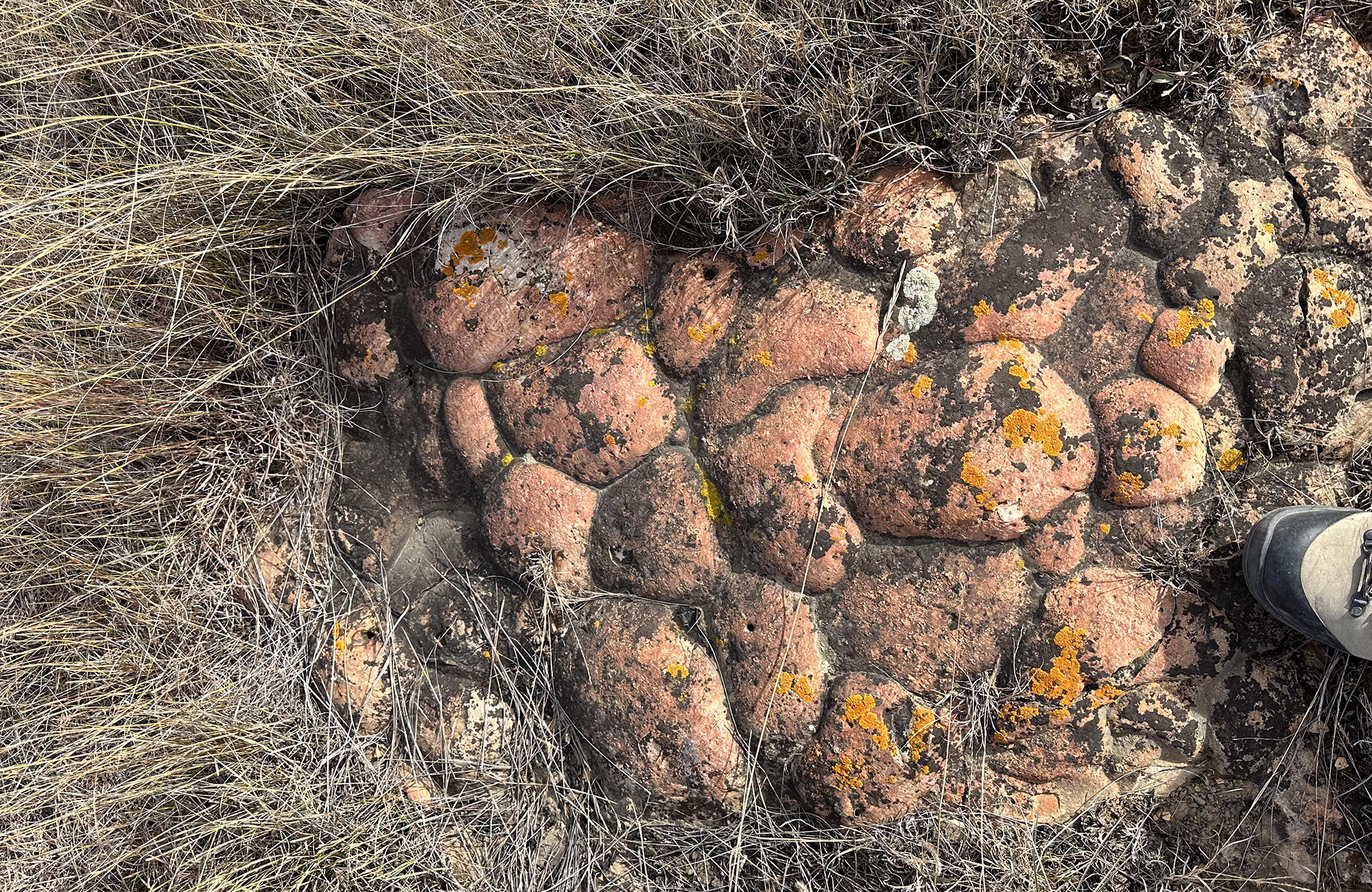 A reddish rock that looks like it is made up of many smaller rocks.