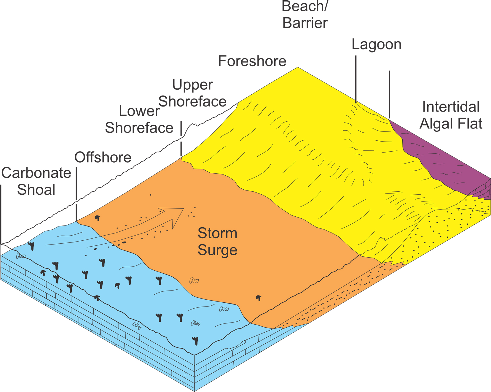 Schematic depositional model of the Deadwood Formation (Anderson, 1988)