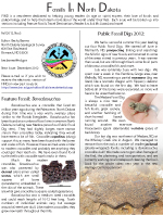 FIND Newsletter 6