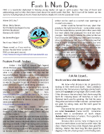 FIND Newsletter 7