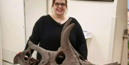 Dr. Morhardt stands behind a ceratopsian skull