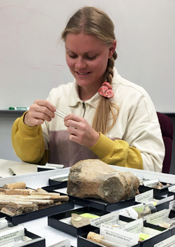 Kelsey working with collections