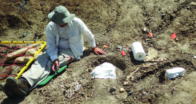 Bismarck Area Fossil Dig