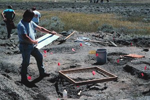 John Hoganson mapping the position of the bones at the Plioplatecarpus excavation