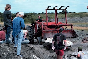 Orville Tranby lifting one of the large plaster casts containing Plioplatecarpus bones. Bev. Tranby in foreground