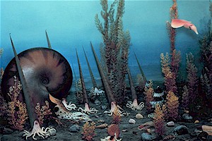 Smithsonian reconstruction of a Cretaceous age seafloor with many of the animals represented by fossils at the Cooperstown site.