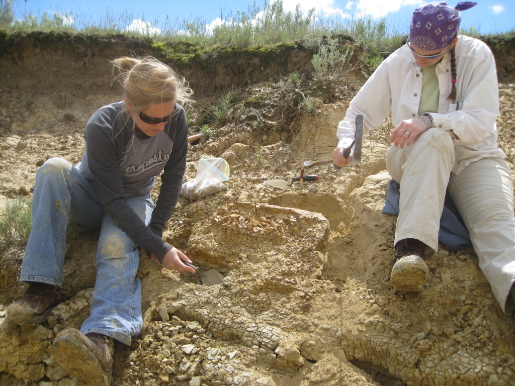 Intern Sam Pounds and paleontologist Becky Barnes excavate around a turtle shell