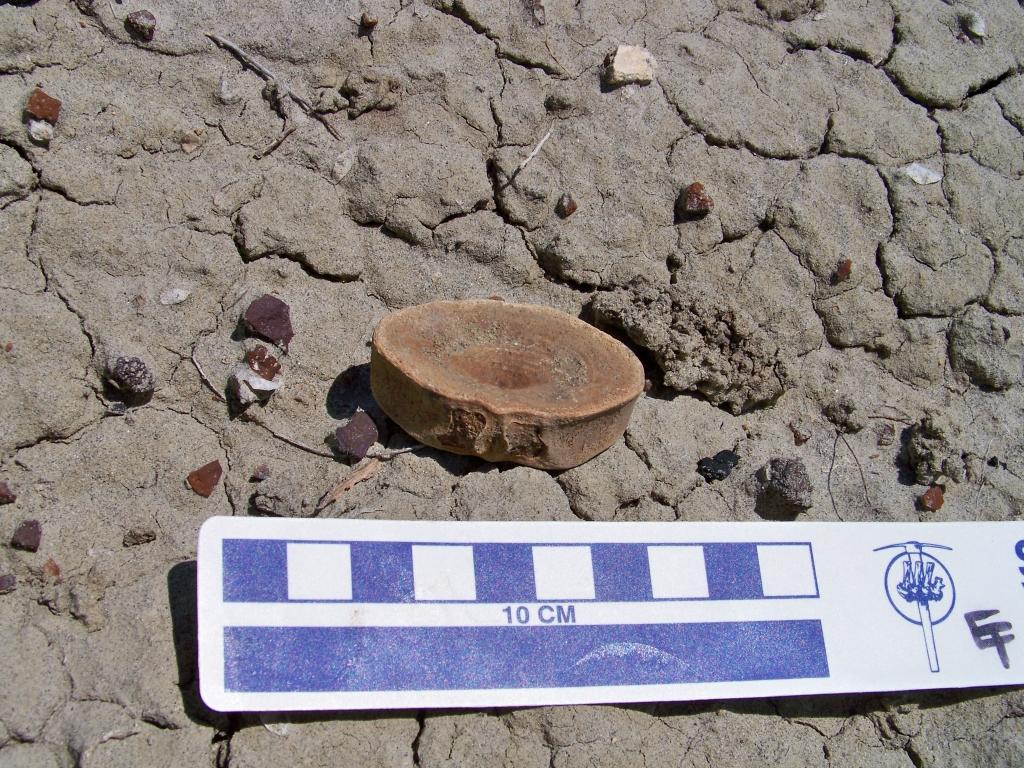 Large Amia fish vertebra from the Marmarth area