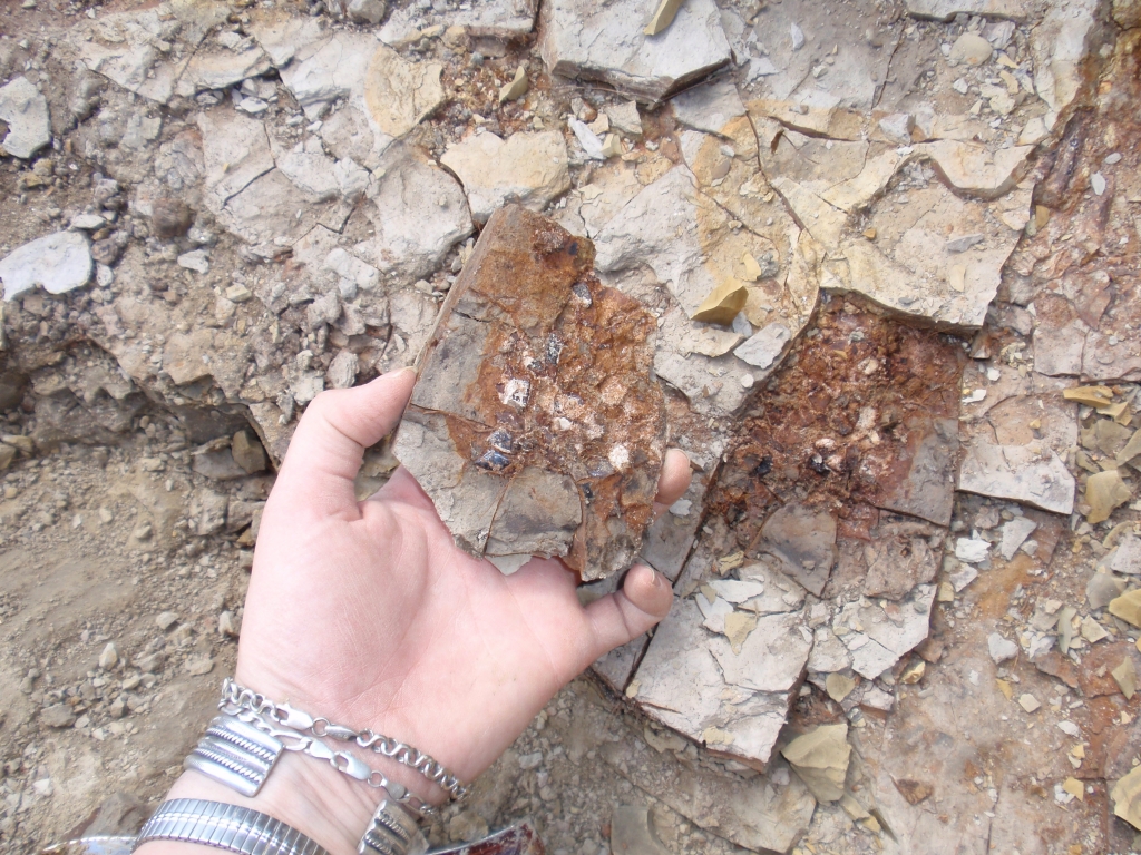Becky Barnes holding the fossil layer, studded with gar fish scales.