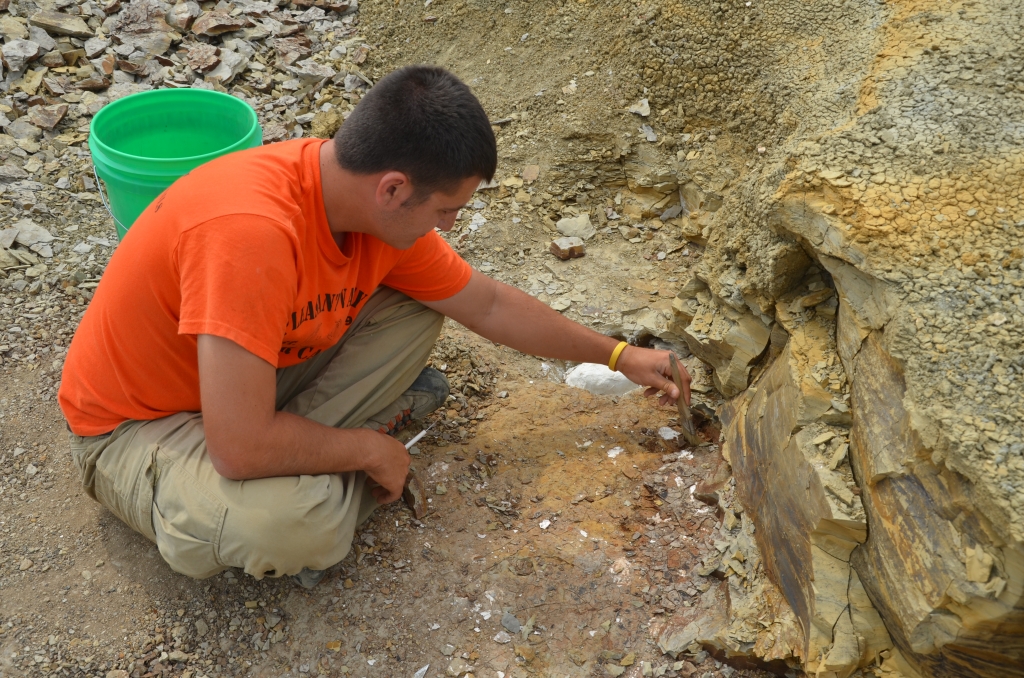 Intern Sean Ternes looking for fossils at the Medora site