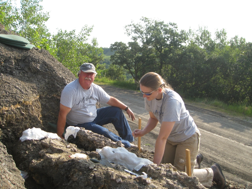 Mosasaur bones