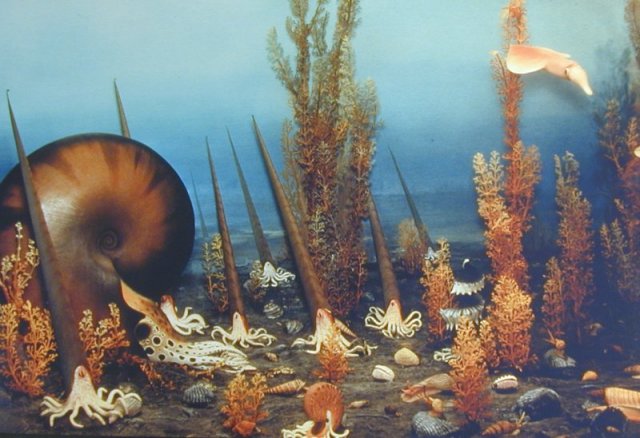Cretaceous Ocean Floor Community