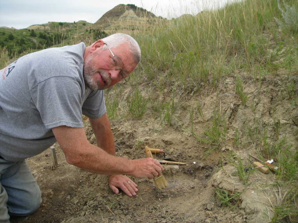 crocodile bones