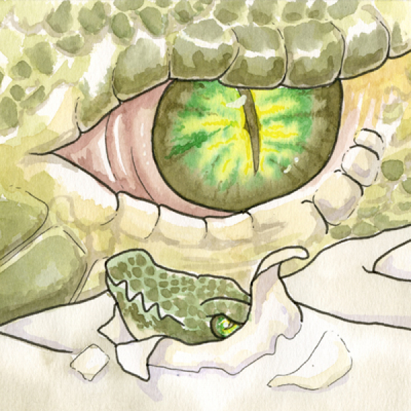 Medora Fossil Dig - image of crocodile eye and hatchling