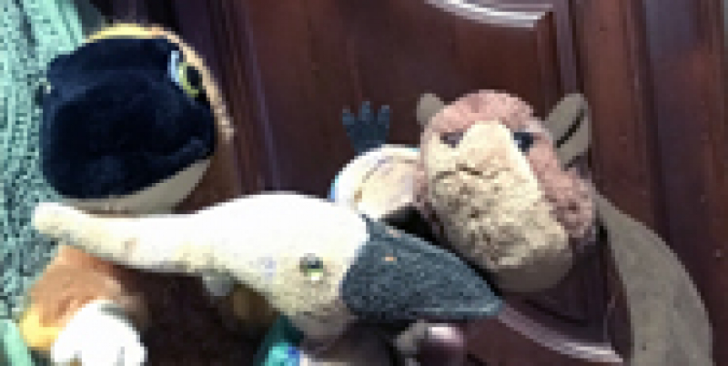 Stuffed animals of a dinosaur, pterosaur, and bat