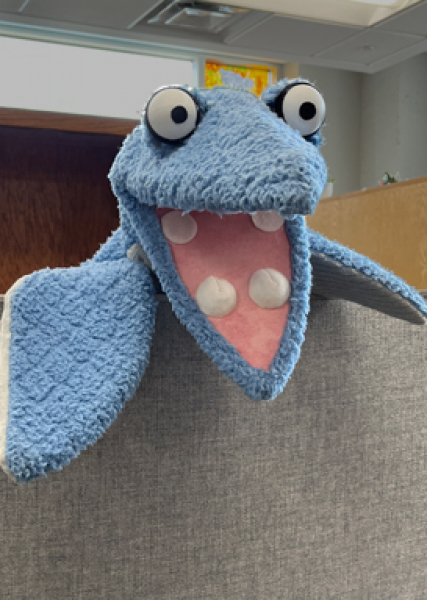 Nori the Mosasaur