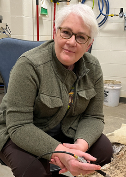 Trissa pausing her work on a Bison skeleton