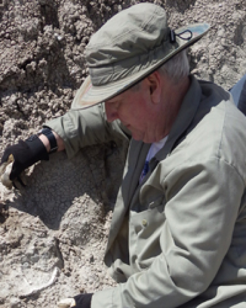 Lew carefully digging out a rhino jaw from the Dickinson dig