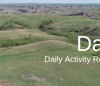 Daily Activity Reports