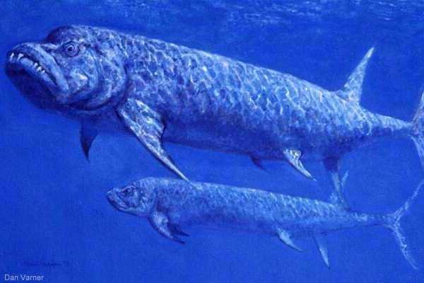 Varner Painting of the fish, Xiphactinus