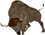Bison antiquus