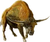 Bison latifrons