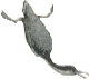 Hesperorni