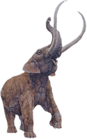 Mammoth